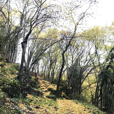 La Gargantilla Apartament *