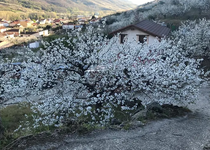 Apartamento La Gargantilla