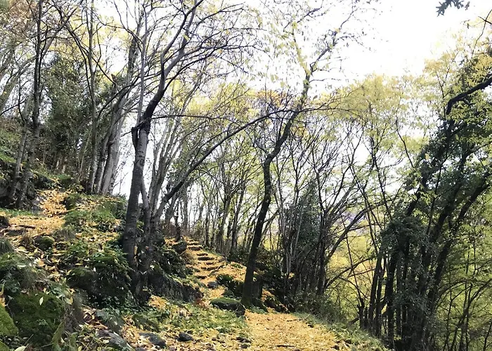 La Gargantilla Апартаменты *