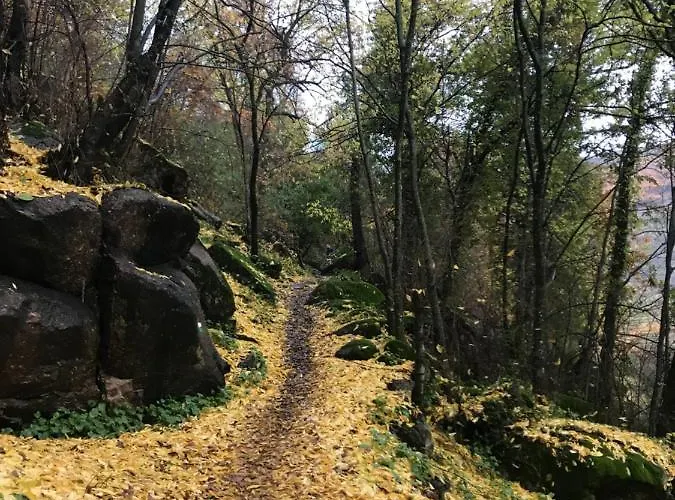 Apartamento La Gargantilla Jerte