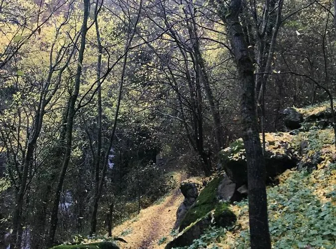 La Gargantilla Apartament *